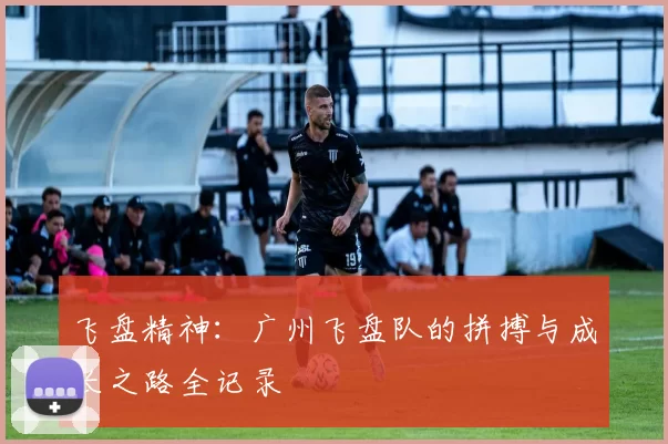 飞盘精神：广州飞盘队的拼搏与成长之路全记录