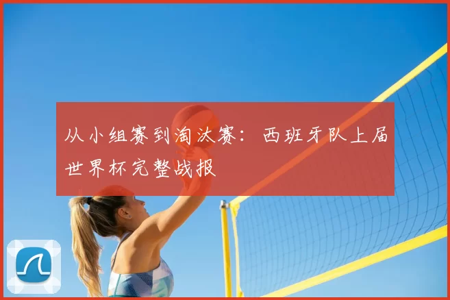 从小组赛到淘汰赛:西班牙队上届世界杯完整战报