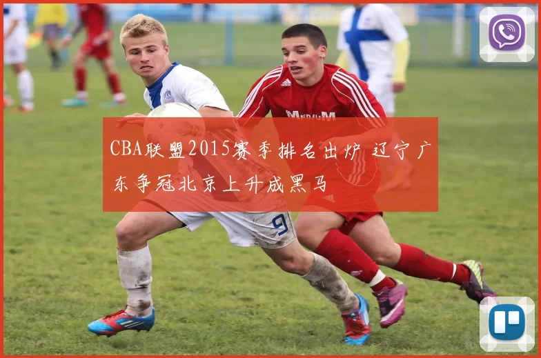 CBA联盟2015赛季排名出炉 辽宁广东争冠北京上升成黑马