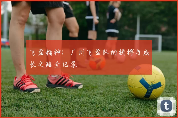 飞盘精神：广州飞盘队的拼搏与成长之路全记录