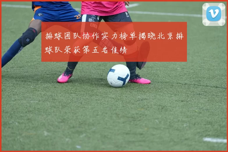 排球团队协作实力榜单揭晓北京排球队荣获第五名佳绩