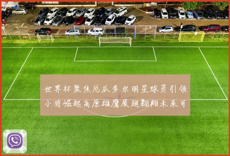 世界杯聚焦厄瓜多尔明星球员引领小将崛起高原雄鹰展翅翱翔未来可期