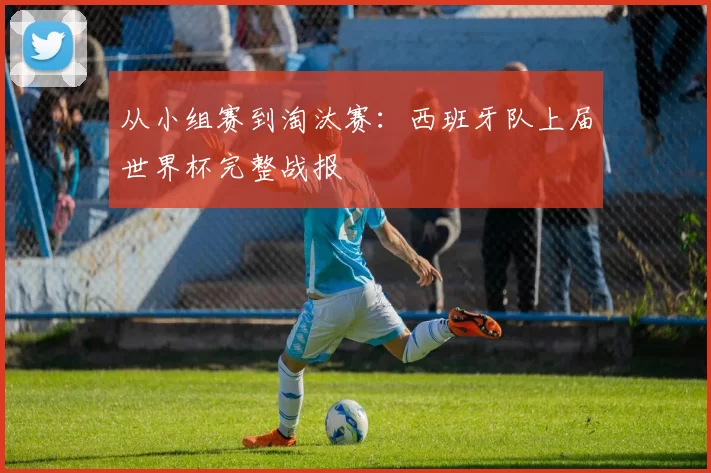从小组赛到淘汰赛:西班牙队上届世界杯完整战报