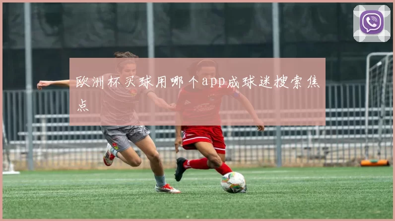 欧洲杯买球用哪个app成球迷搜索焦点
