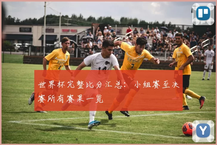 世界杯完整比分汇总:小组赛至决赛所有赛果一览