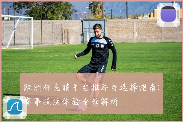 欧洲杯竞猜平台推荐与选择指南：赛事投注体验全面解析