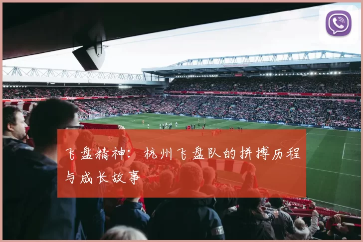 飞盘精神:杭州飞盘队的拼搏历程与成长故事