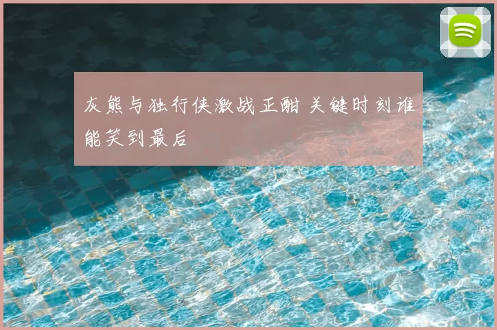 灰熊与独行侠激战正酣 关键时刻谁能笑到最后