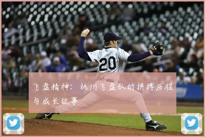 飞盘精神:杭州飞盘队的拼搏历程与成长故事