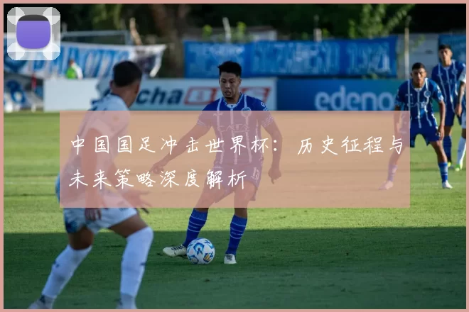 中国国足冲击世界杯:历史征程与未来策略深度解析