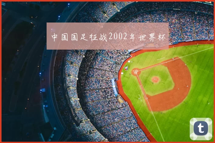 中国国足征战2002年世界杯