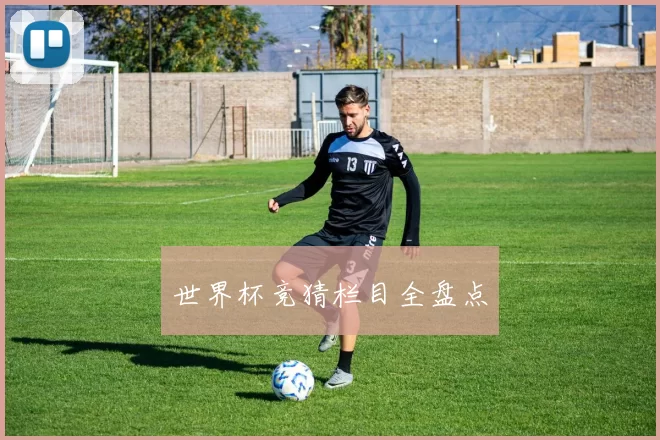 世界杯竞猜栏目全盘点