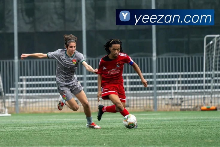 App Interface Preview